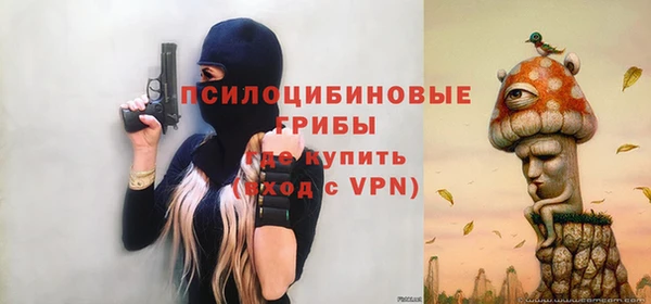 ГАЛЛЮЦИНОГЕННЫЕ ГРИБЫ Абинск