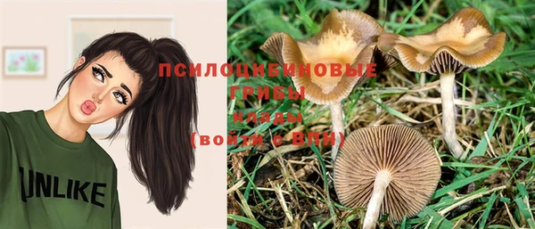 гидропоника Абаза