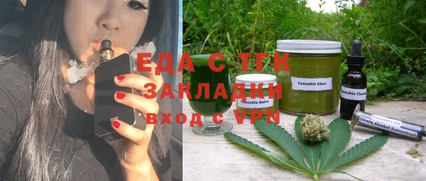 хмурый Алексин
