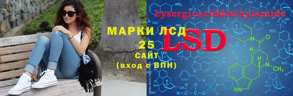 хмурый Алексин