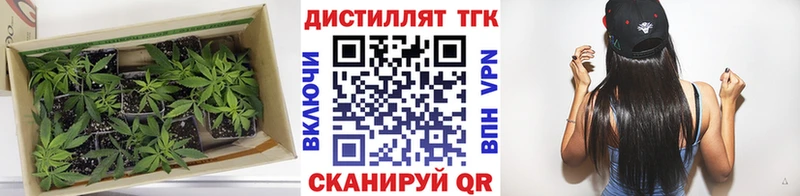ТГК жижа  продажа наркотиков  Златоуст 