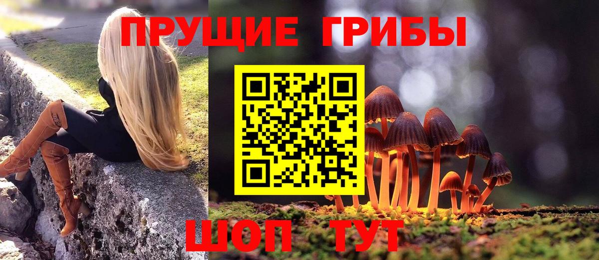 Псилоцибиновые грибы Cubensis Златоуст