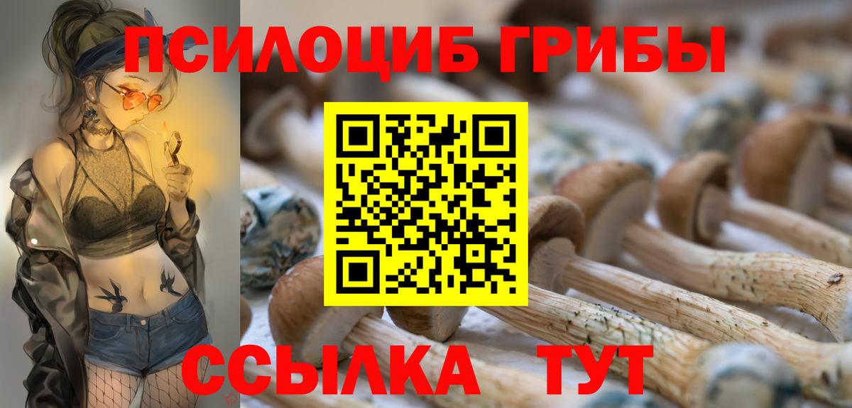 как найти   Вход с VPN  Златоуст  Галлюциногенные грибы Psilocybine cubensis  Галлюциногенные грибы мицелий 