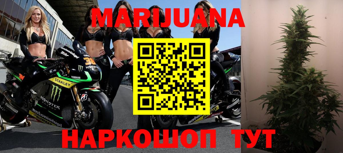 Каннабис White Widow  Конопля ГИДРОПОН  Златоуст  Вход с VPN  Марихуана семена 